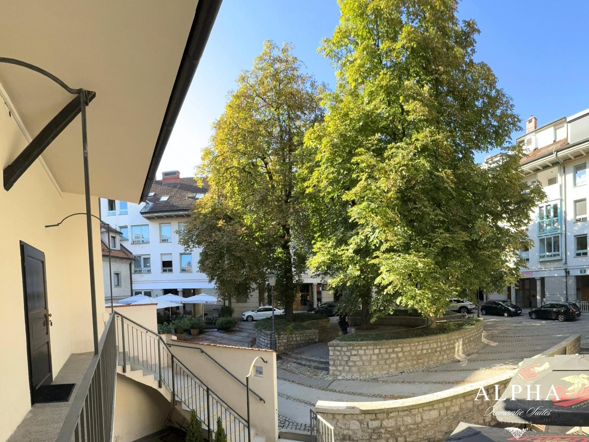 Alpha Romantic Apartment
